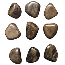 Load image into Gallery viewer, Wood Pebbles Wall Decor Collection- S/9