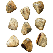 Load image into Gallery viewer, Wood Pebbles Wall Decor Collection- S/9