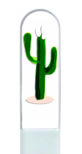 Load image into Gallery viewer, Cactus Desert Crystal Nail File