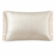 Load image into Gallery viewer, Velvet Metallic & Chain Pillow Collection