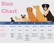 Load image into Gallery viewer, Beaded Western Tooled Leather Pet Collar