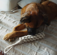 Load image into Gallery viewer, Hemp Pet Toy Collection