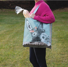 Load image into Gallery viewer, Donkey Market Nylon Market Tote Bag