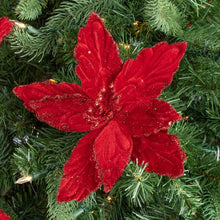 Load image into Gallery viewer, Rich Red Velveteen Poinsettia