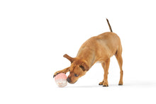 Load image into Gallery viewer, Valentine's Rosé Rubber Wine Dog Toy