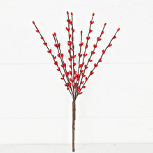 Load image into Gallery viewer, Pip Berry Pick 12" Collection