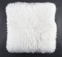 Load image into Gallery viewer, Dallas Shag Pillow