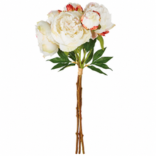 Load image into Gallery viewer, Cream Bundle of Peonies
