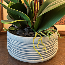 Load image into Gallery viewer, Custom Red Orchid in Blue Ribbed Bowl
