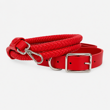 Load image into Gallery viewer, Pet Collar &amp; Leash Set Collection
