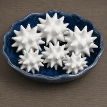 Load image into Gallery viewer, White Urchin Decor Ball
