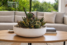 Load image into Gallery viewer, Low Bowl &amp; Cactus Garden Arrangement
