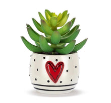 Load image into Gallery viewer, Dots &amp; Heart Mini Succulent
