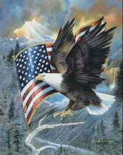 Load image into Gallery viewer, American Eagle Puzzle 500pc
