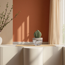 Load image into Gallery viewer, Velvet Petunia Cactus Diffuser
