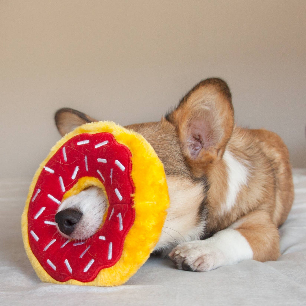 Dog playing with a donut-shaped toy on a plain background