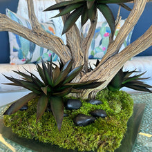 Load image into Gallery viewer, Wood Branch &amp; Black Agave Moss on Crystal Tray
