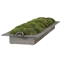Load image into Gallery viewer, Preserved Moss on Textured Iron Tray
