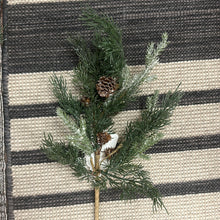 Load image into Gallery viewer, Iced Cedar &amp; Pinecone
