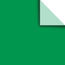 Load image into Gallery viewer, Green Tissue Paper
