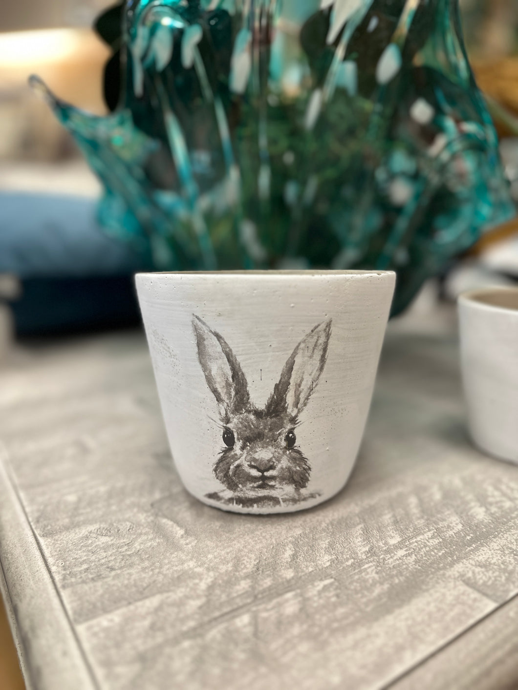 Rabbit Ceramic Pot Collection