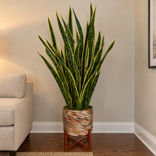 Load image into Gallery viewer, Faux Snake Plant in Painted Glass Planter
