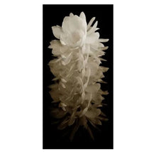 Load image into Gallery viewer, Cereus Acrylic Artwork Collection
