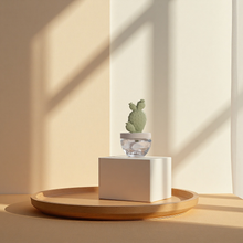 Load image into Gallery viewer, Velvet Petunia Cactus Diffuser
