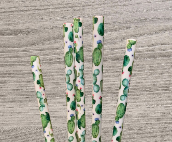 Cactus Southwest Straw