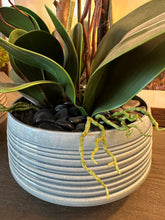 Load image into Gallery viewer, Custom Red Orchid in Blue Ribbed Bowl
