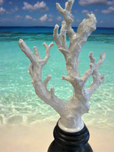 Load image into Gallery viewer, White Coral Statue Collection
