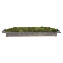 Load image into Gallery viewer, Preserved Moss on Textured Iron Tray
