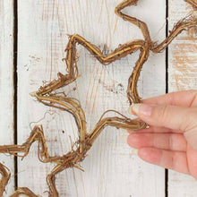 Load image into Gallery viewer, Grapevine Twig Garland
