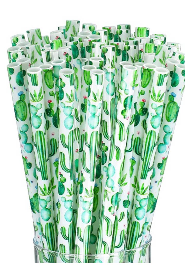 Cactus Succulent Reusable Straws