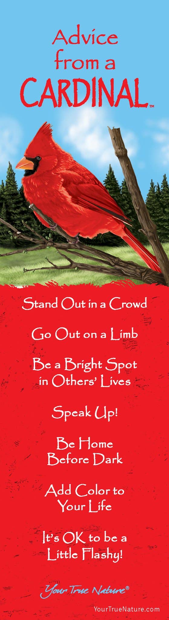 “Advice From A Cardinal”  Laminated Bookmark
