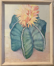 Load image into Gallery viewer, Antique Frame Succulent Art
