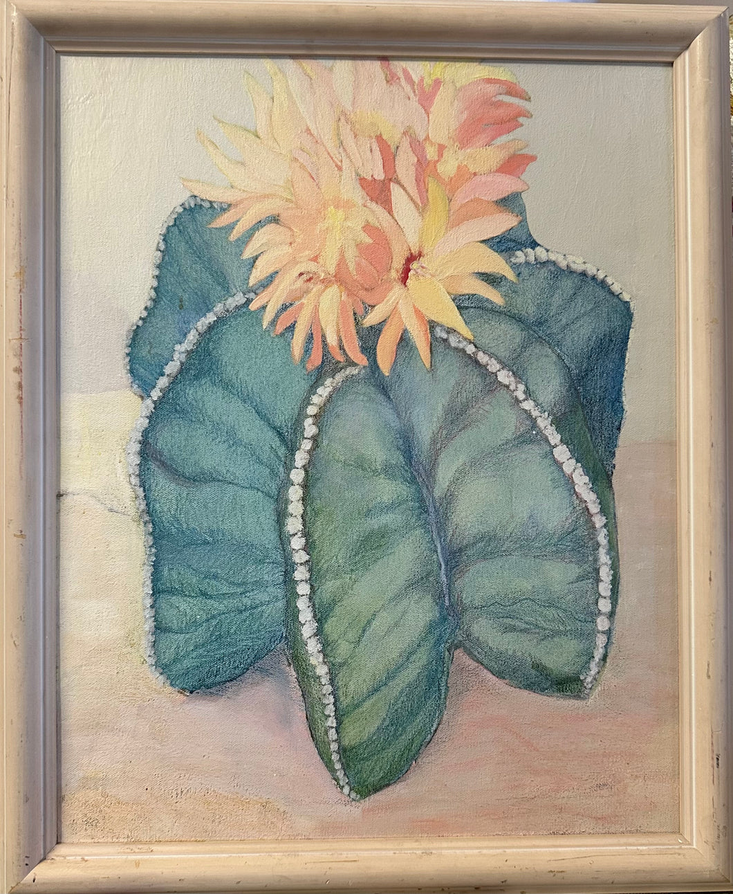 Antique Frame Succulent Art