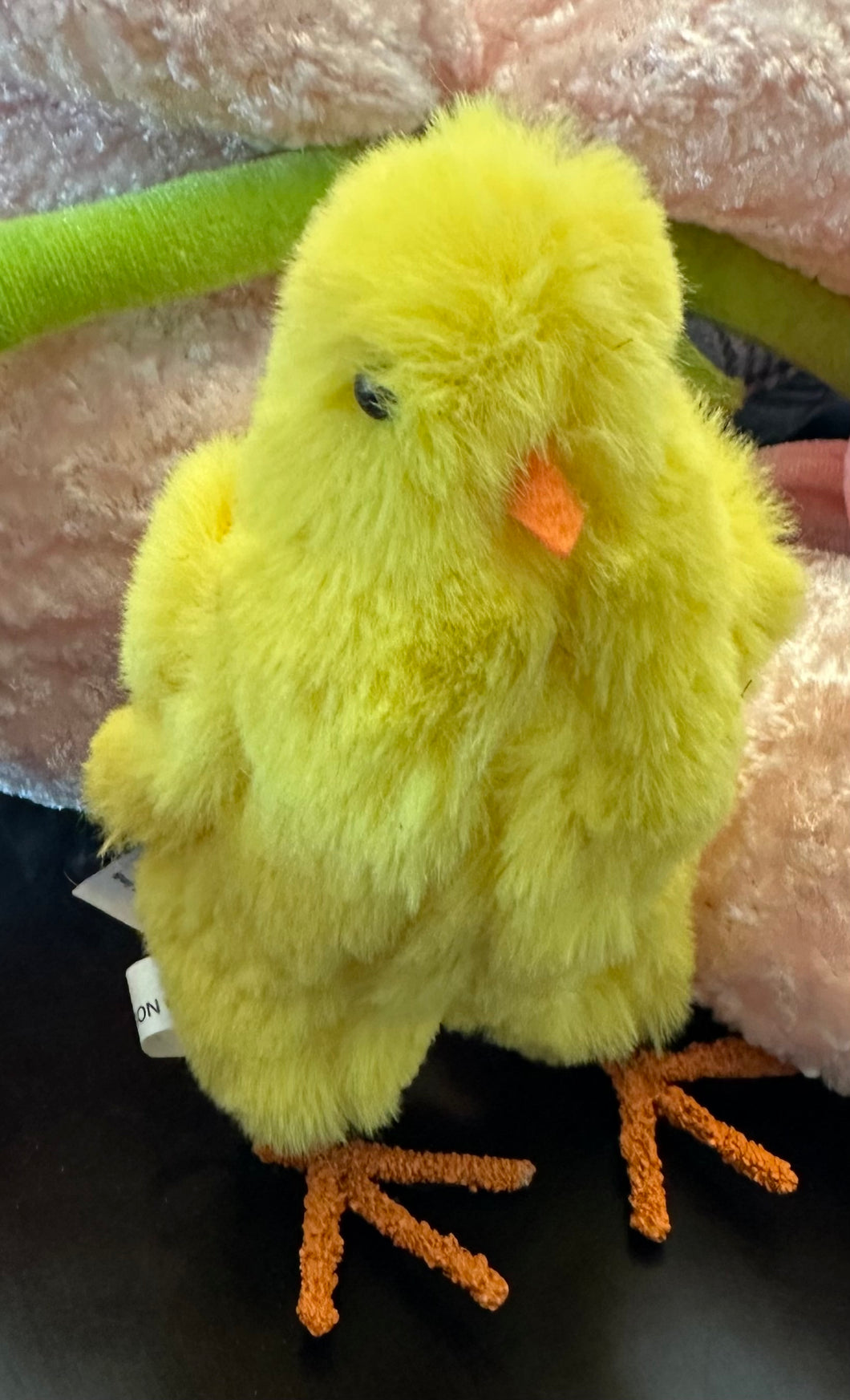 Standing Chick