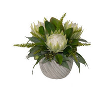 Load image into Gallery viewer, King Protea in White Pot
