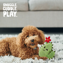 Load image into Gallery viewer, Plush Cactus Dog Toy Collection
