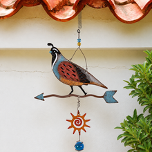 Load image into Gallery viewer, Gamble's Quail Bouncy
