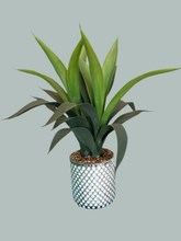 Load image into Gallery viewer, White Silver Vase Faux Aloe Plant Outdoor
