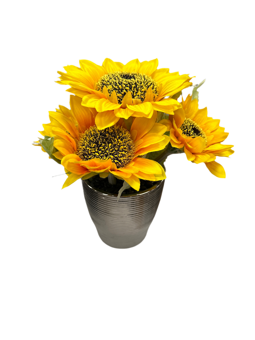 Sunflowers in a pot