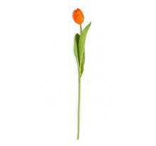 Load image into Gallery viewer, Faux Tulip Stem Collection
