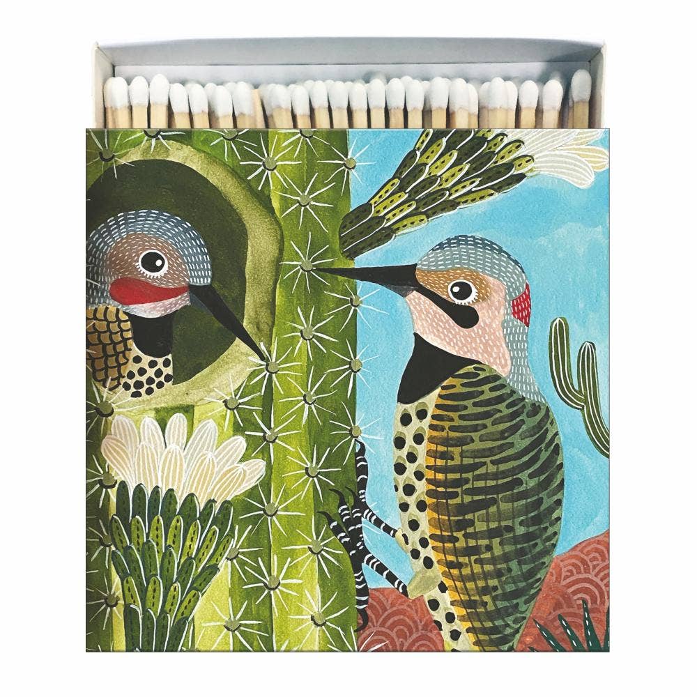Cactus Wren Matches 60/Box
