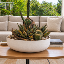 Load image into Gallery viewer, Low Bowl &amp; Cactus Garden Arrangement
