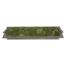 Load image into Gallery viewer, Preserved Moss on Textured Iron Tray
