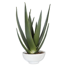 Load image into Gallery viewer, Faux Aloe Plant
