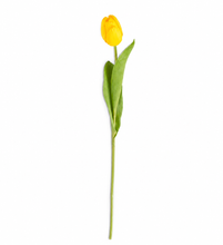 Load image into Gallery viewer, Faux Tulip Stem Collection
