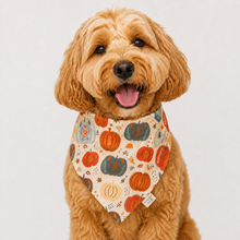 Load image into Gallery viewer, Pumpkin Pet Bandana Collection

